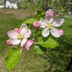 Meet your Posher, Stacey